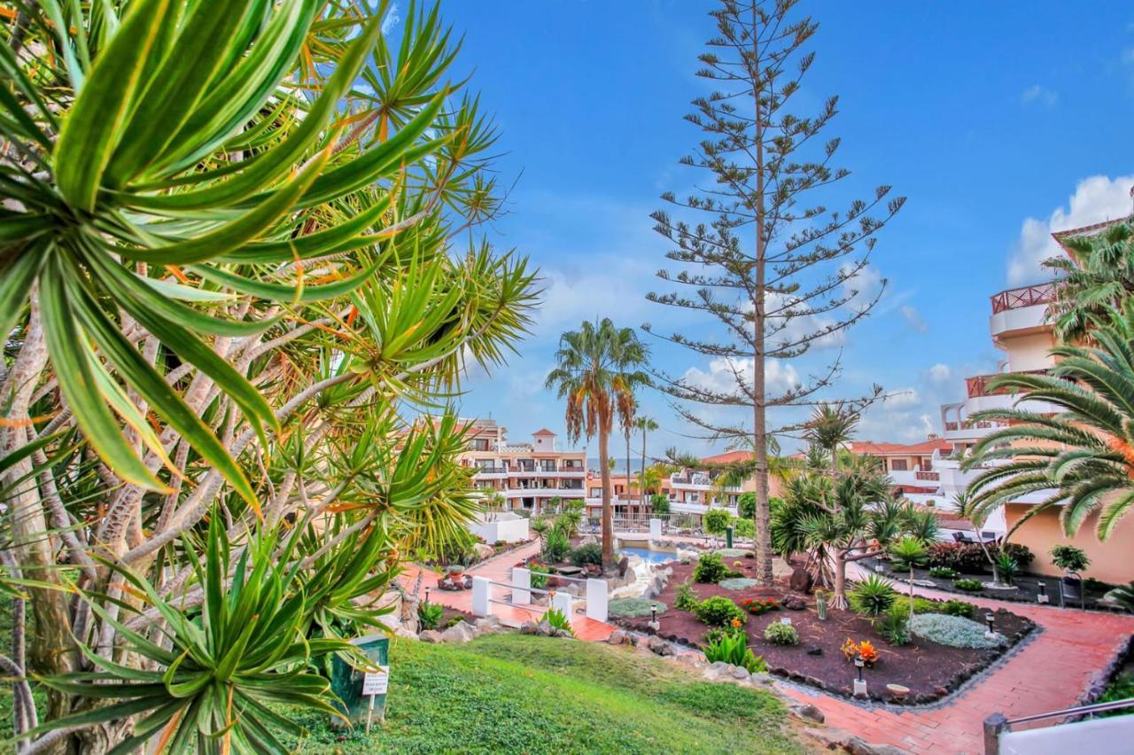 סן מיגל דה אבונה Apartment In Albatros Complex "Albaroa" מראה חיצוני תמונה